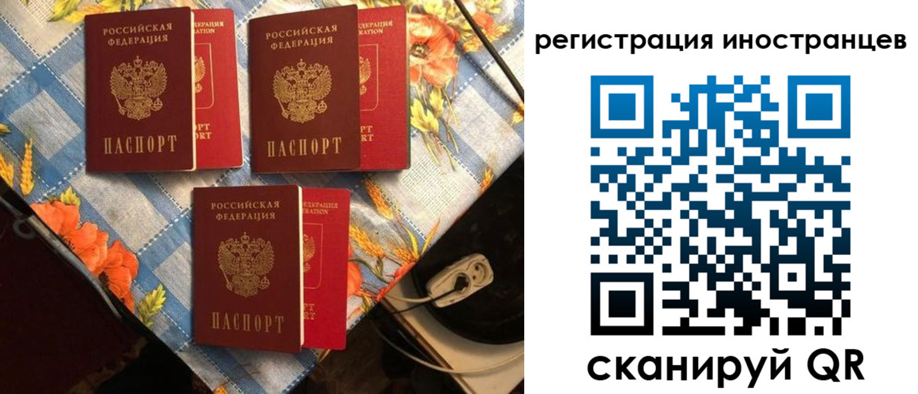 прописка поиск в Ингушетии
